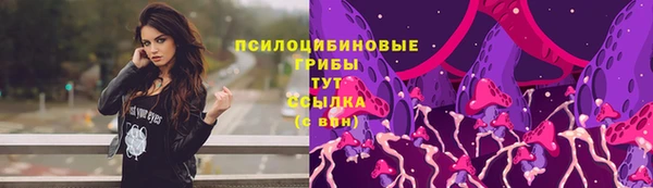 мяу мяу мука Надым