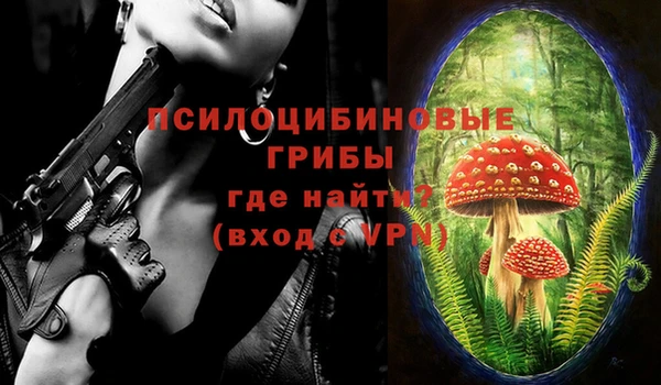 мяу мяу мука Алзамай